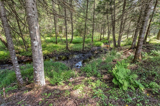 658 Mingo Loop Rd, Rangeley, ME 04970 - photo 59