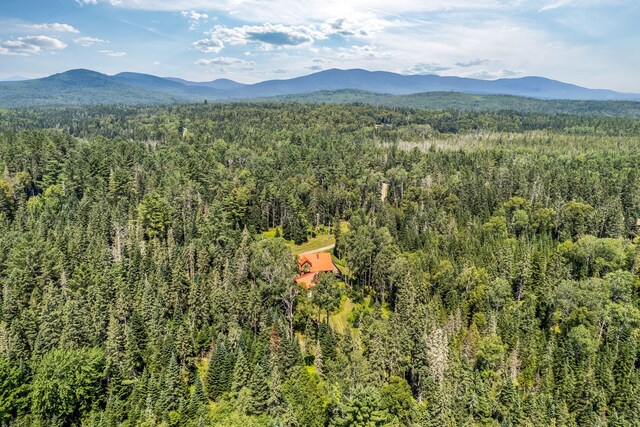 658 Mingo Loop Rd, Rangeley, ME 04970 - photo 62