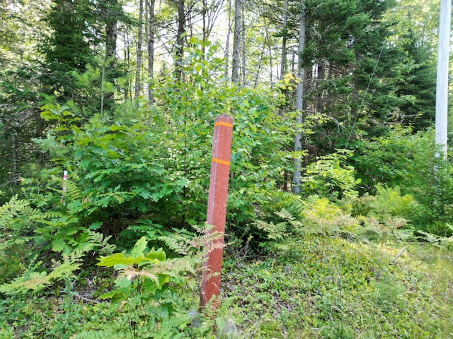 TBD Edinburg Rd, Edinburg, ME 04448 - photo 1