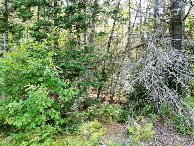 TBD Edinburg Rd, Edinburg, ME 04448 - photo 4