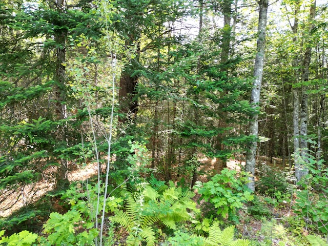 TBD Edinburg Rd, Edinburg, ME 04448 - photo 5