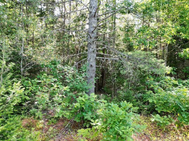 TBD Edinburg Rd, Edinburg, ME 04448 - photo 6
