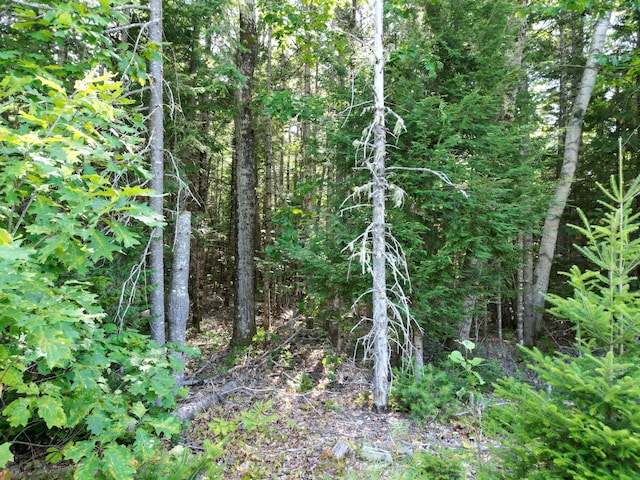 TBD Edinburg Rd, Edinburg, ME 04448 - photo 7