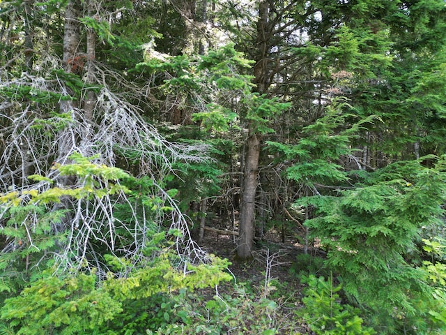 TBD Edinburg Rd, Edinburg, ME 04448 - photo 8