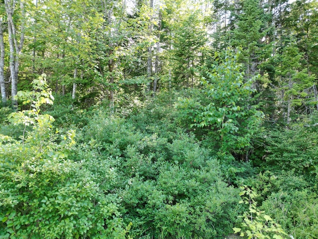 TBD Edinburg Rd, Edinburg, ME 04448 - photo 9