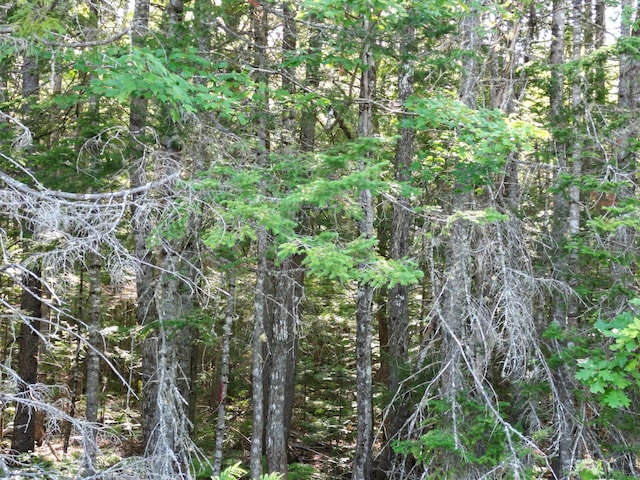 TBD Edinburg Rd, Edinburg, ME 04448 - photo 11