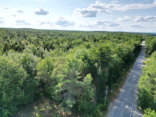 TBD Edinburg Rd, Edinburg, ME 04448 - photo 13