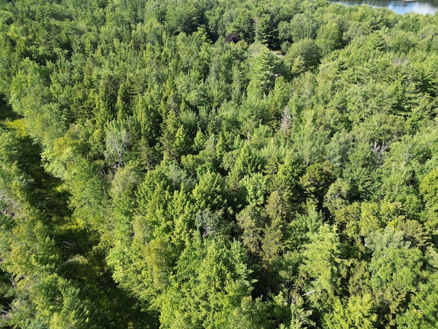 TBD Edinburg Rd, Edinburg, ME 04448 - photo 15