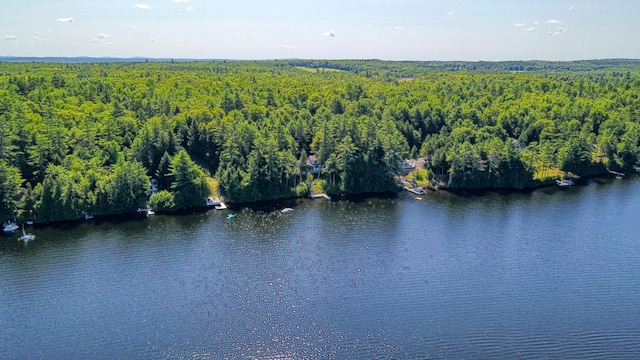 1660 Pond Rd, Sidney, ME 04330 - photo 82