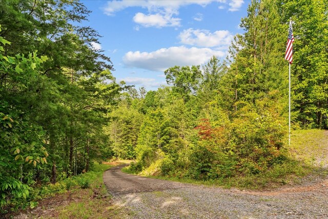 3691 Flagpole Rd, Ellijay, GA 30540 - view of street with a view of trees