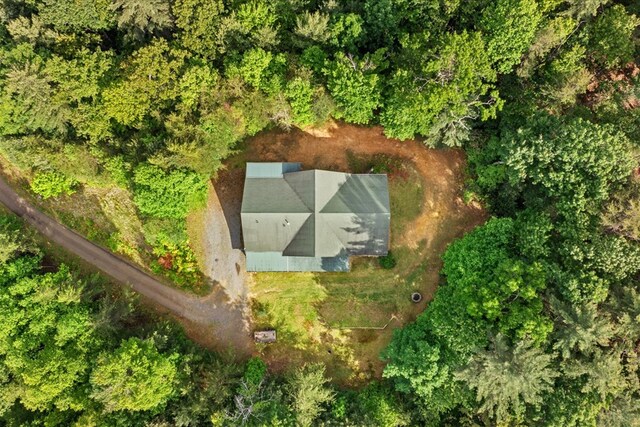 3691 Flagpole Rd, Ellijay, GA 30540 - aerial overview of property's location