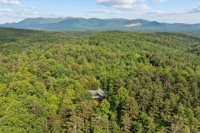 3691 Flagpole Rd, Ellijay, GA 30540 - view of mountain background with a forest