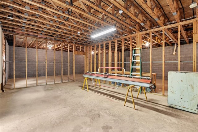 3691 Flagpole Rd, Ellijay, GA 30540 - view of basement