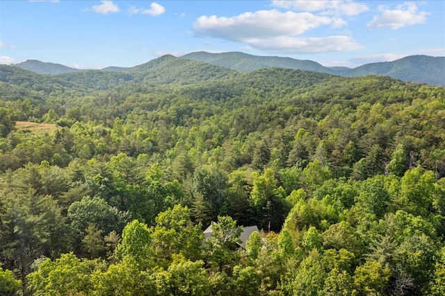 3691 Flagpole Rd, Ellijay, GA 30540 - view of mountain background with a forest