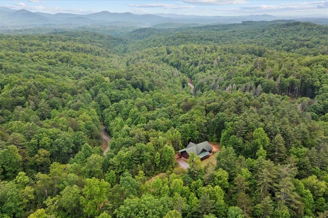 3691 Flagpole Rd, Ellijay, GA 30540 - aerial view of a forest and mountains