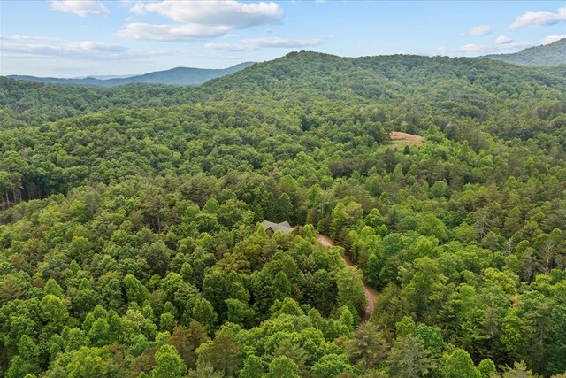 3691 Flagpole Rd, Ellijay, GA 30540 - view of mountain background with a forest