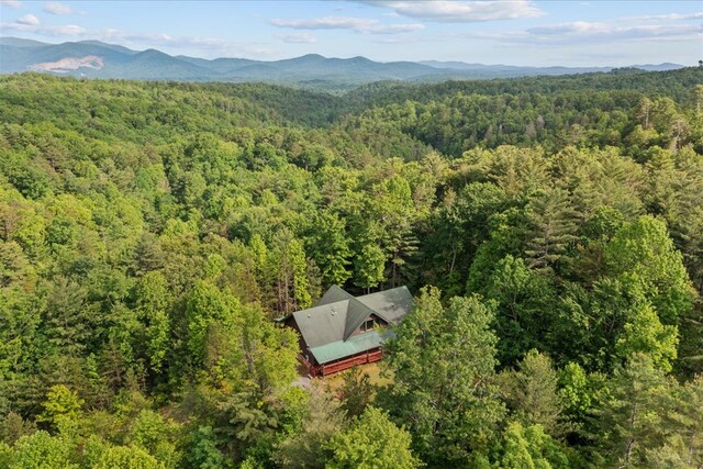 3691 Flagpole Rd, Ellijay, GA 30540 - bird's eye view of a forest and mountains