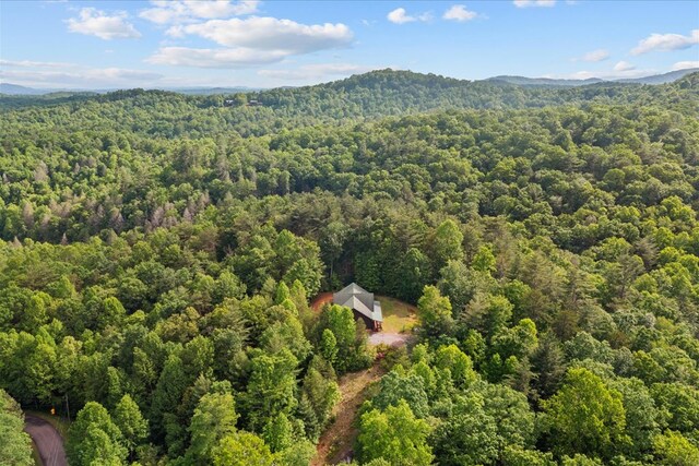 3691 Flagpole Rd, Ellijay, GA 30540 - drone / aerial view of a heavily wooded area and a mountainous background