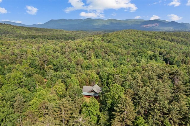 3691 Flagpole Rd, Ellijay, GA 30540 - bird's eye view of a heavily wooded area and a mountainous background