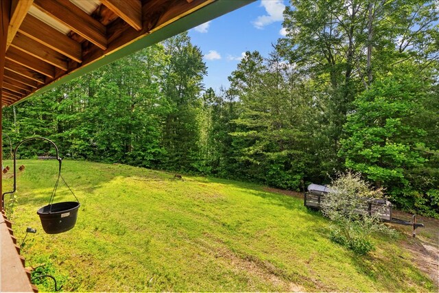 3691 Flagpole Rd, Ellijay, GA 30540 - view of green lawn