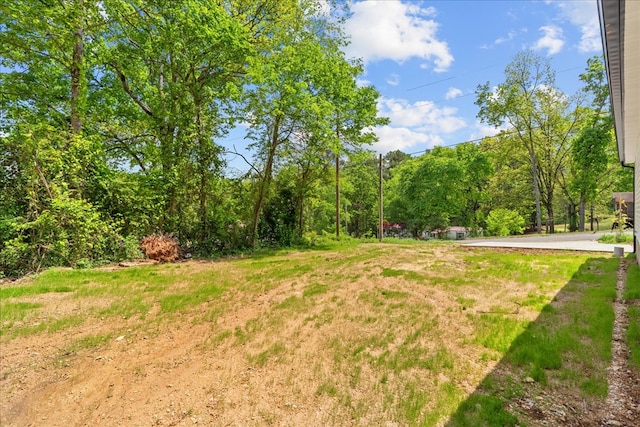 view of yard