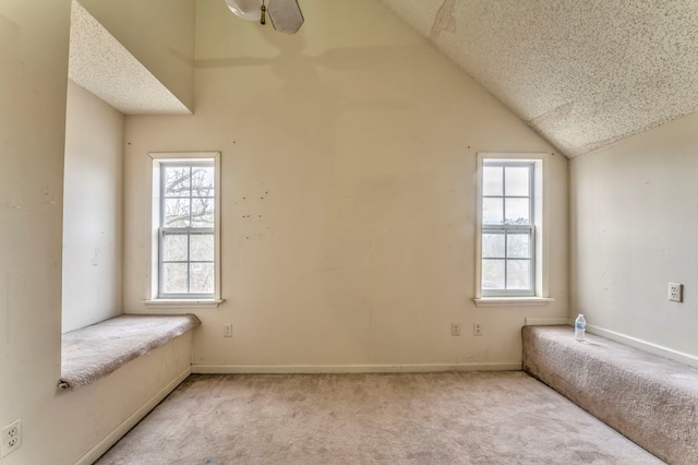 interior space featuring baseboards, carpet, and a textured ceiling