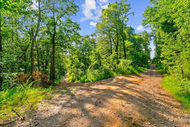 LOT4-5 Fire Tower Rd, Jasper, GA 30143 - photo 8