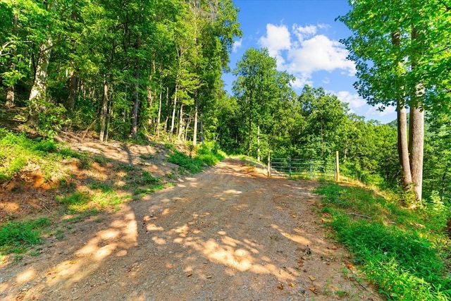 LOT4-5 Fire Tower Rd, Jasper, GA 30143 - photo 10