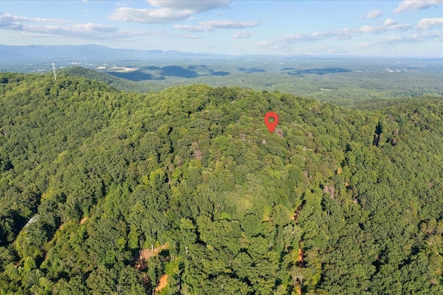 LOT4-5 Fire Tower Rd, Jasper, GA 30143 - photo 15