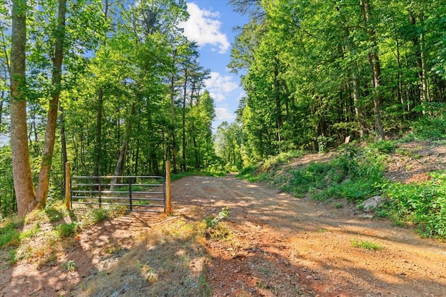 LOT4-5 Fire Tower Rd, Jasper, GA 30143 - photo 5