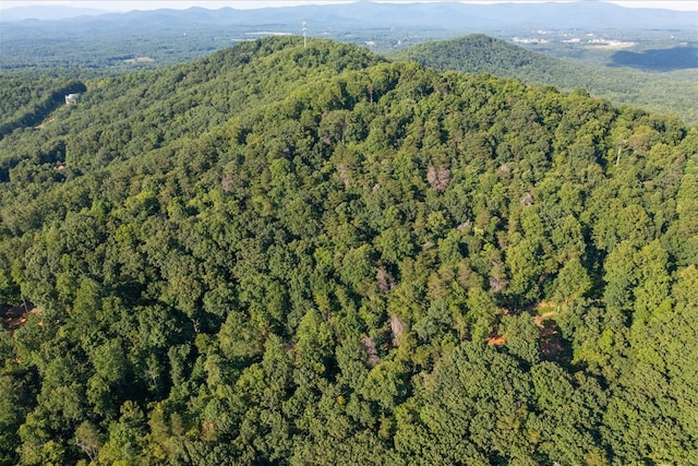 LOT4-5 Fire Tower Rd, Jasper, GA 30143 - photo 14