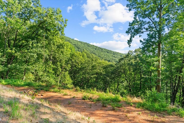 LOT4-5 Fire Tower Rd, Jasper, GA 30143 - photo 4