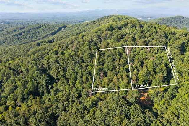 LOT4-5 Fire Tower Rd, Jasper, GA 30143 - photo 2