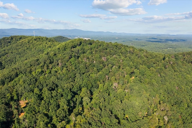 LOT4-5 Fire Tower Rd, Jasper, GA 30143 - photo 17