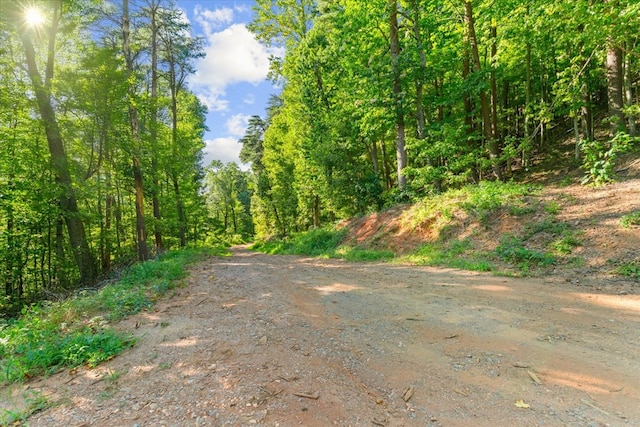 LOT4-5 Fire Tower Rd, Jasper, GA 30143 - photo 6