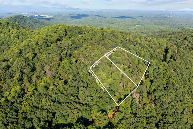 LOT4-5 Fire Tower Rd, Jasper, GA 30143 - photo 3