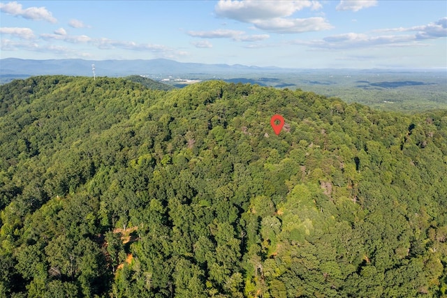 LOT4-5 Fire Tower Rd, Jasper, GA 30143 - photo 11