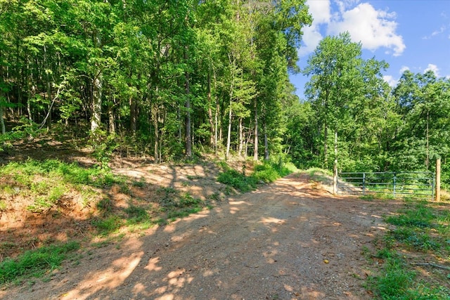 LOT4-5 Fire Tower Rd, Jasper, GA 30143 - photo 7