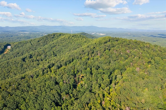 LOT4-5 Fire Tower Rd, Jasper, GA 30143 - photo 18
