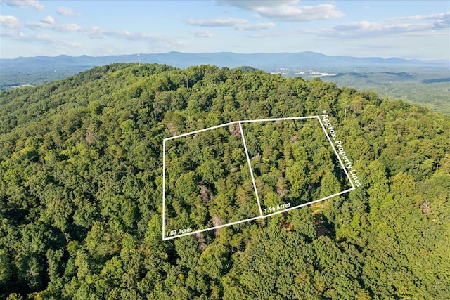 LOT4-5 Fire Tower Rd, Jasper, GA 30143 - photo 1