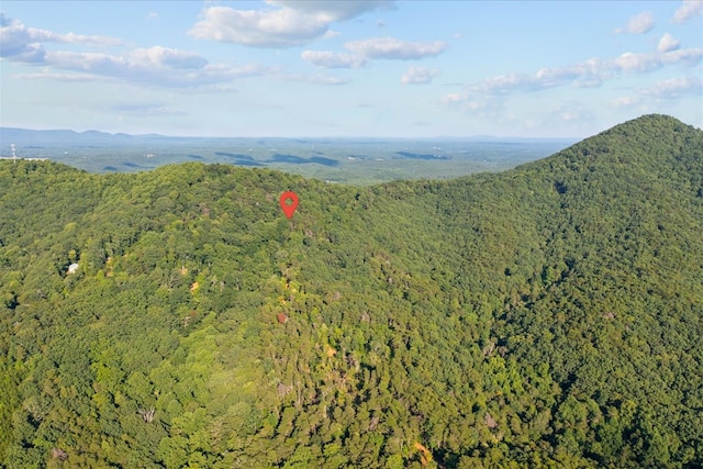 LOT4-5 Fire Tower Rd, Jasper, GA 30143 - photo 13