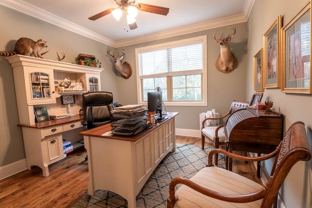 office area with ceiling fan, ornamental molding, and light hardwood / wood-style flooring