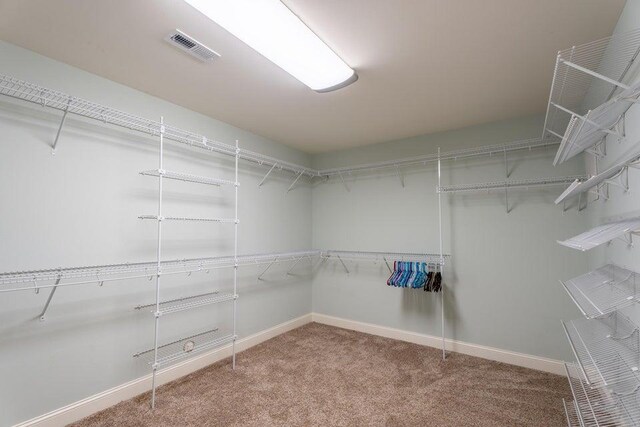 spacious closet featuring carpet flooring