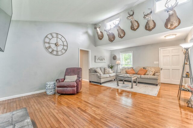 3012 Brookhaven Cir, Dalton, GA 30720 - living room with high vaulted ceiling, baseboards, and hardwood / wood-style floors