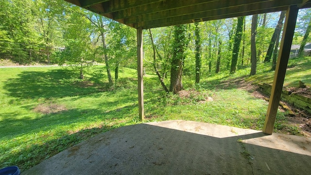 view of yard featuring a patio