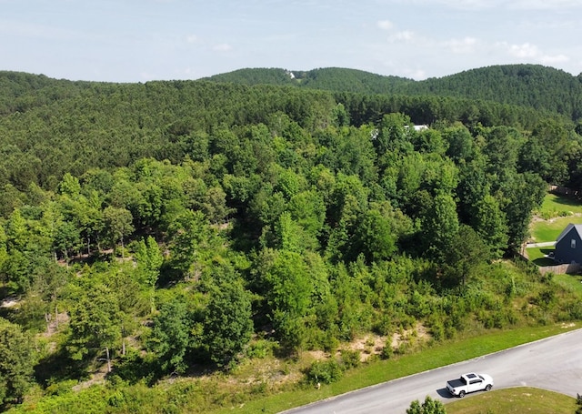0 Stonegate Pl, Cohutta, GA 30710