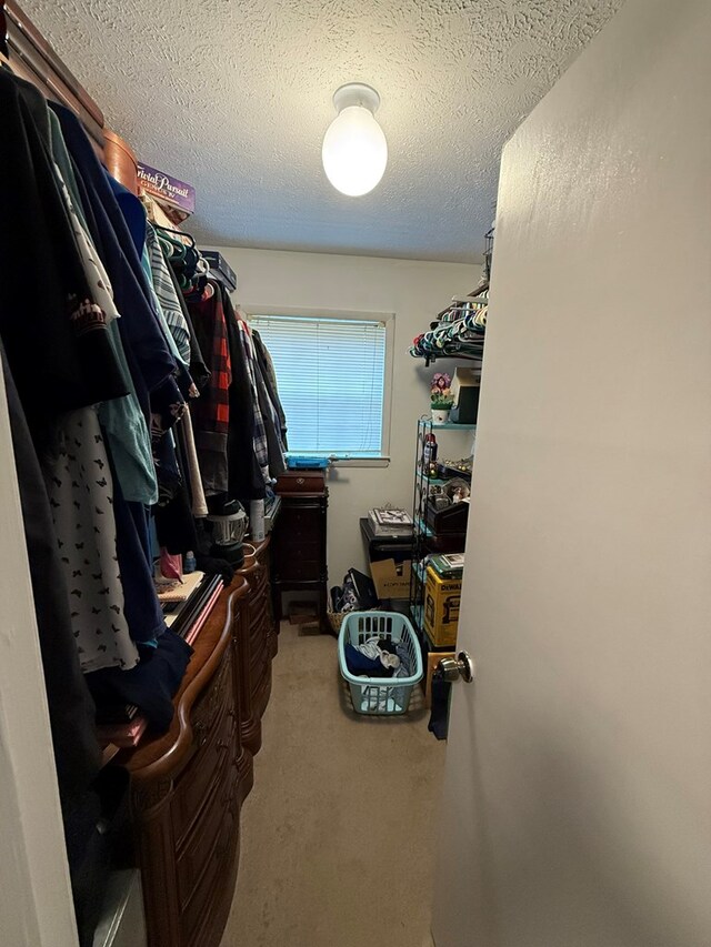 walk in closet with carpet floors