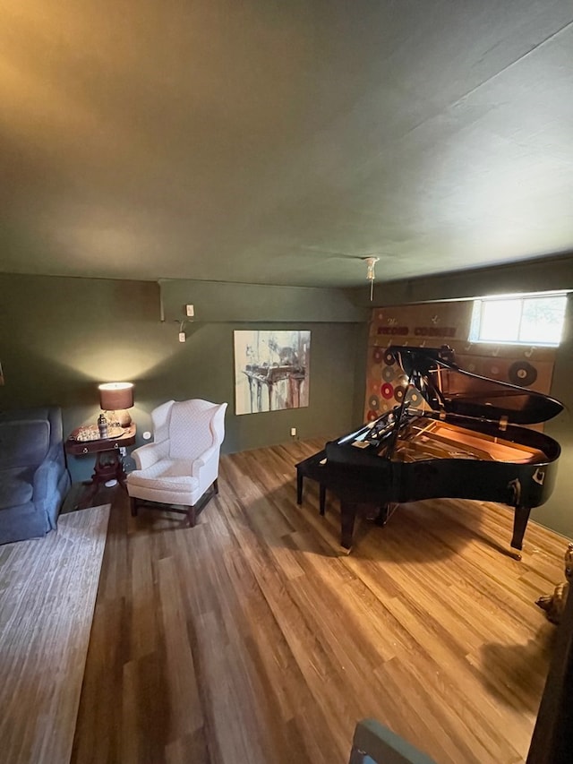 game room featuring hardwood / wood-style flooring