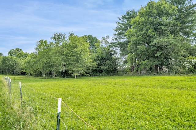 view of yard with a rural view