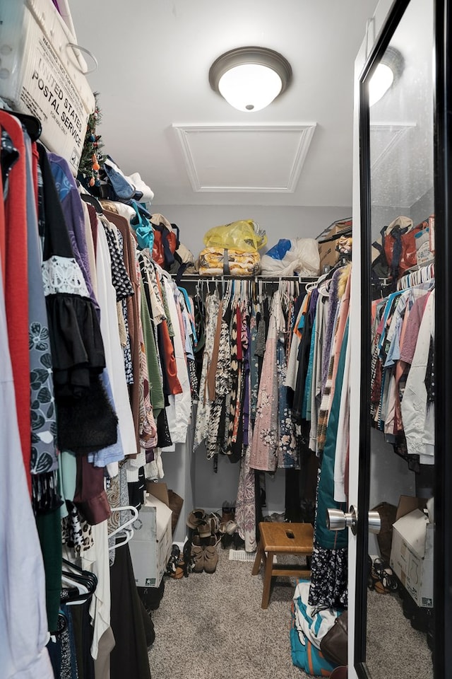 spacious closet with carpet floors